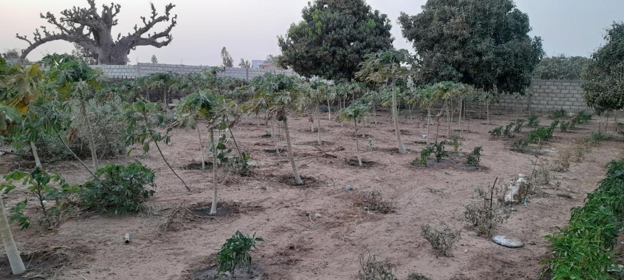 Saly Lrad Le Village Ngaring Экстерьер фото